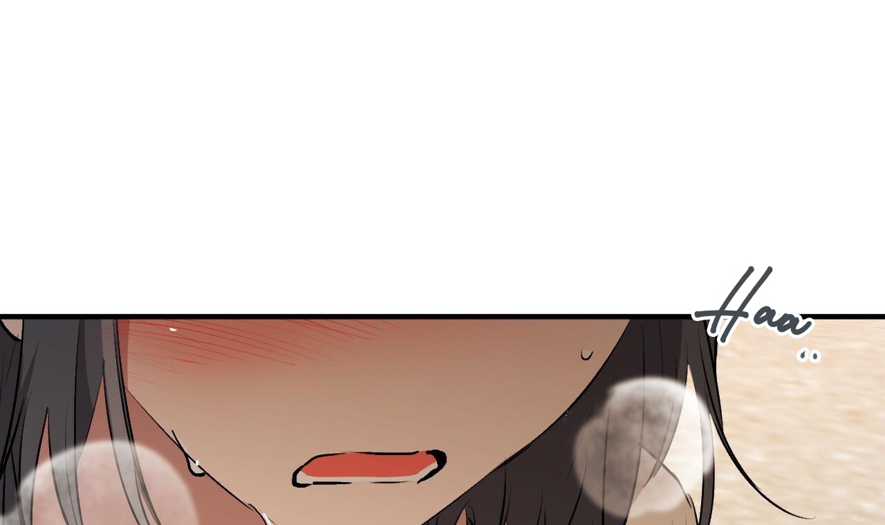 đàn thỏ của habibi chapter 45 249