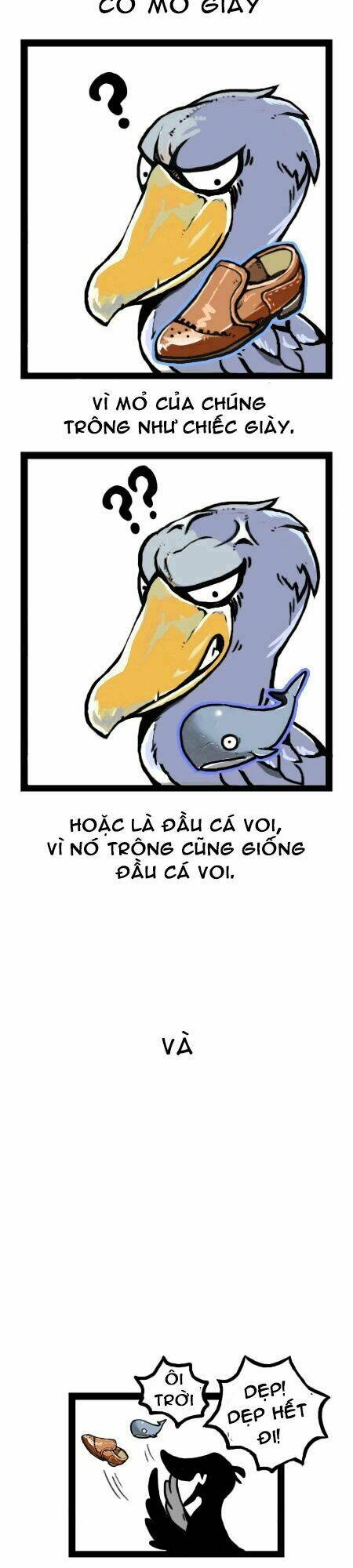 earth, human, and animal chapter 14 8