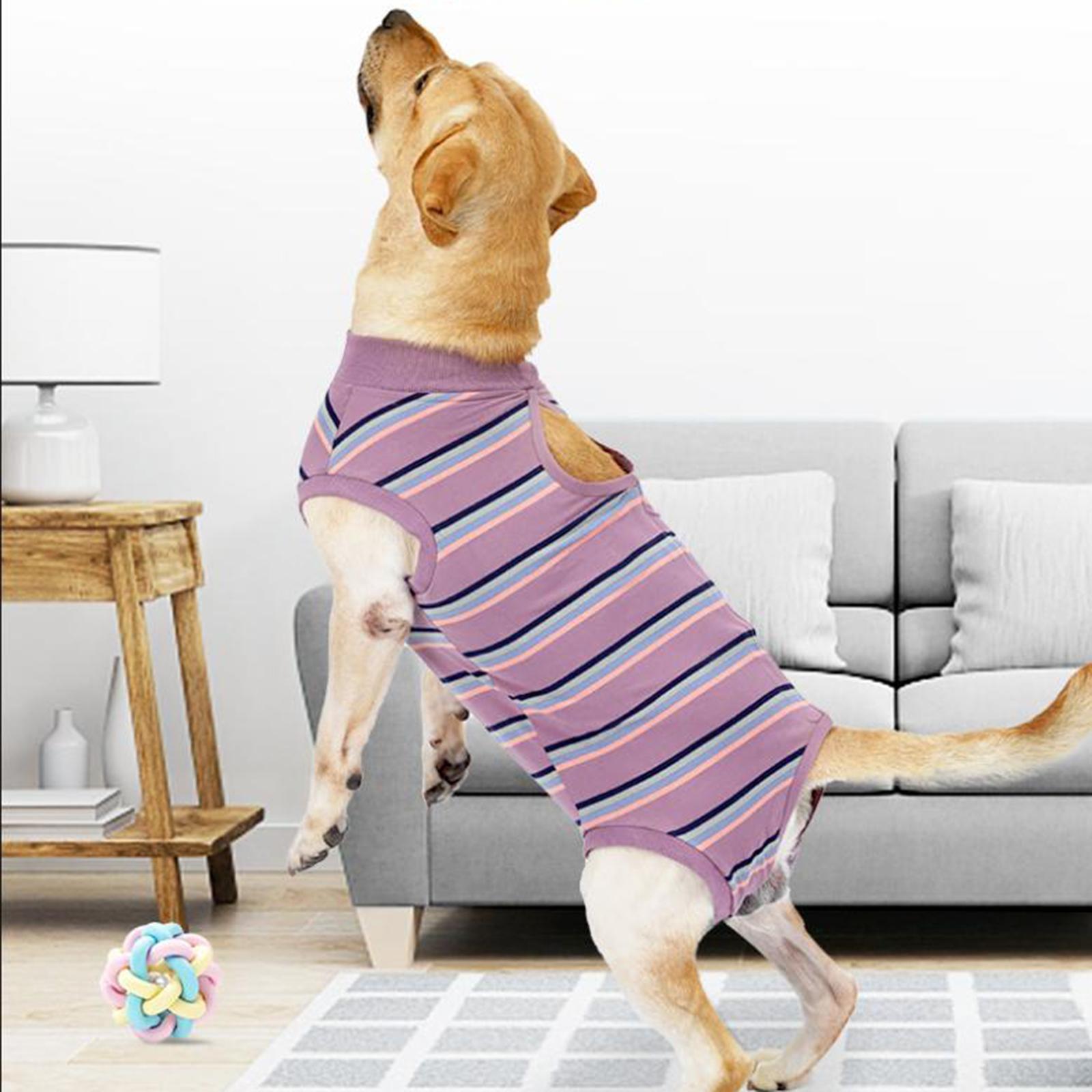 Pet Physiological Clothes Pet Supplies Breathable Nappy Jacket Dog Clothes