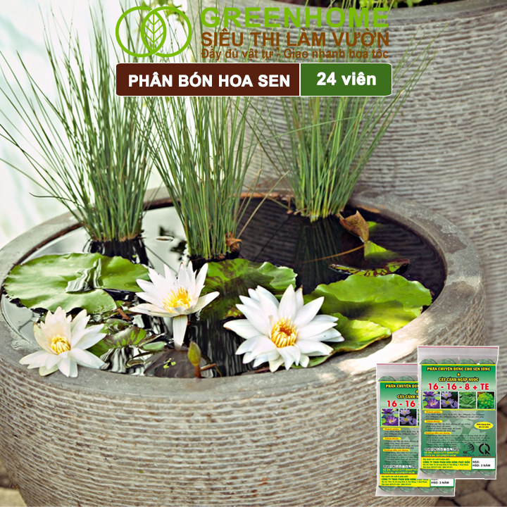 Phân Bón Hoa Sen Greenhome, Vỉ 24 Viên, Cây Thuỷ Sinh, Ngập Nước, Cho Hoa To, Hoa Đậm Màu, Lâu Tàn, Tốt Lá