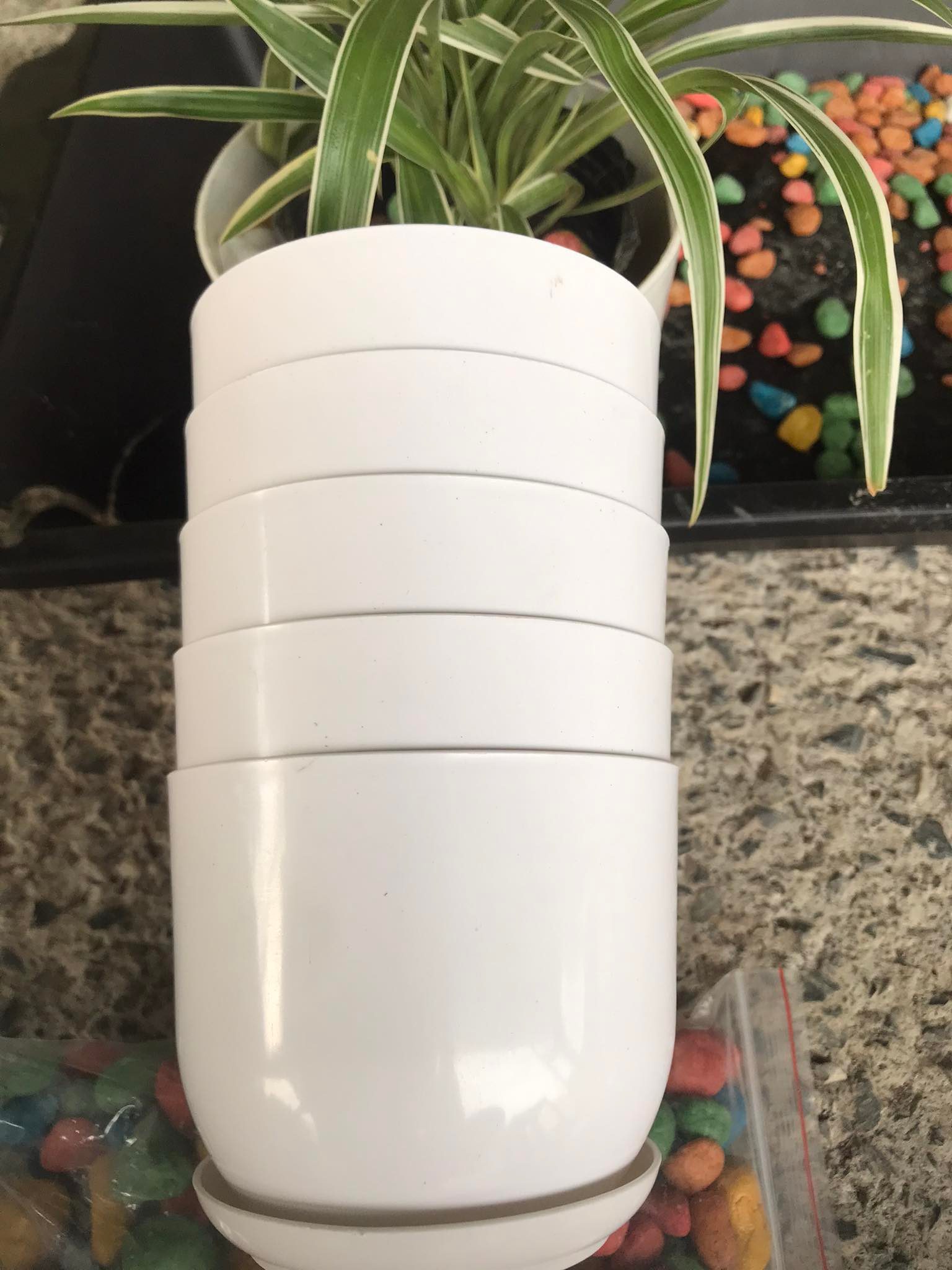 5 Chậu nhựa tròn giả sứ kèm đĩa trồng cây cảnh mini, sen đá, sương rồng kèm hàng dày đẹp