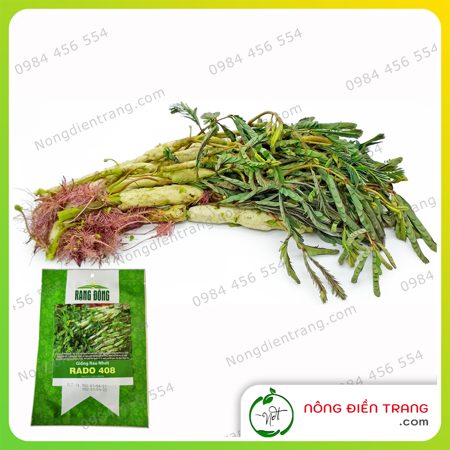 Hạt Giống Rau Nhút - Gói 1g - Rau Rút Dễ Trồng, Sinh Trưởng Khỏe, Năng Suất Cao VTNN Nông Điền Trang