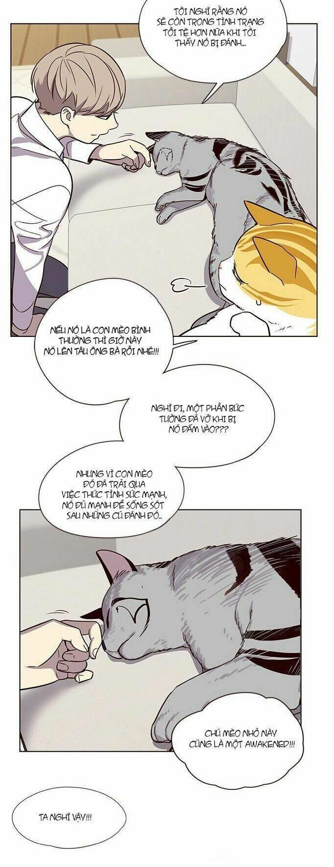 biến thân thành mèo chapter 6 4