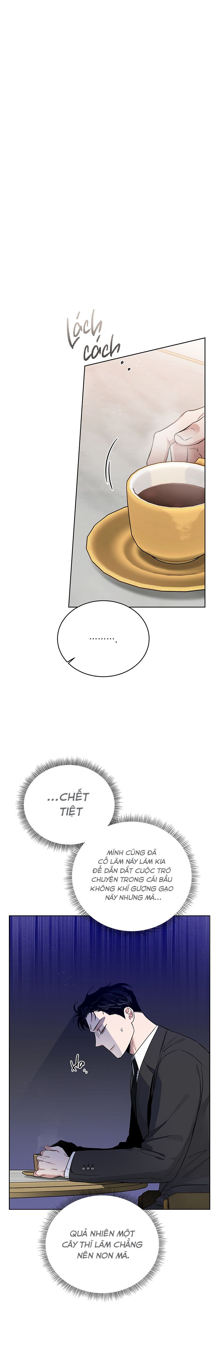 đoá hồng và ly champagne chapter 0.21 11