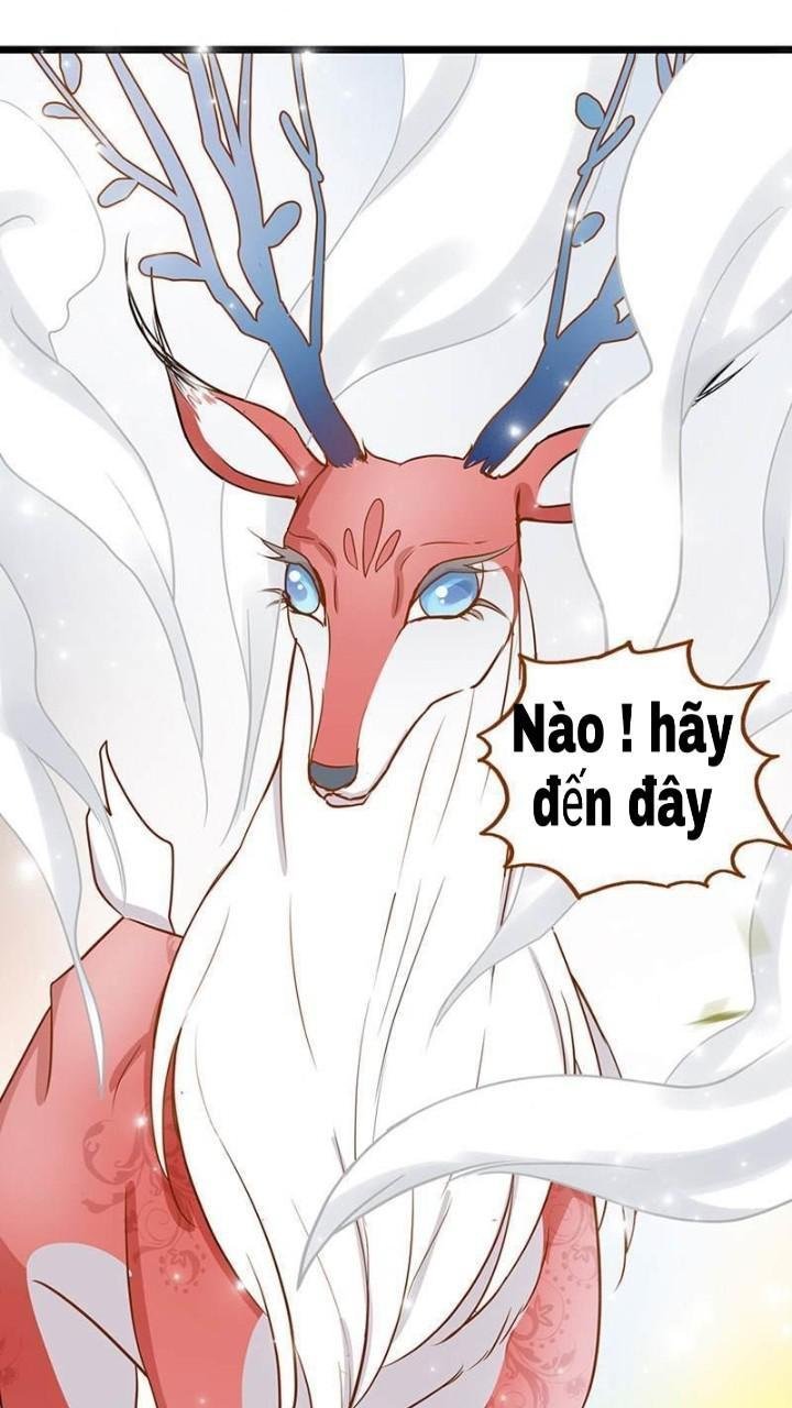 định mệnh giữa vị thần và tiểu cô nương chapter 5 5