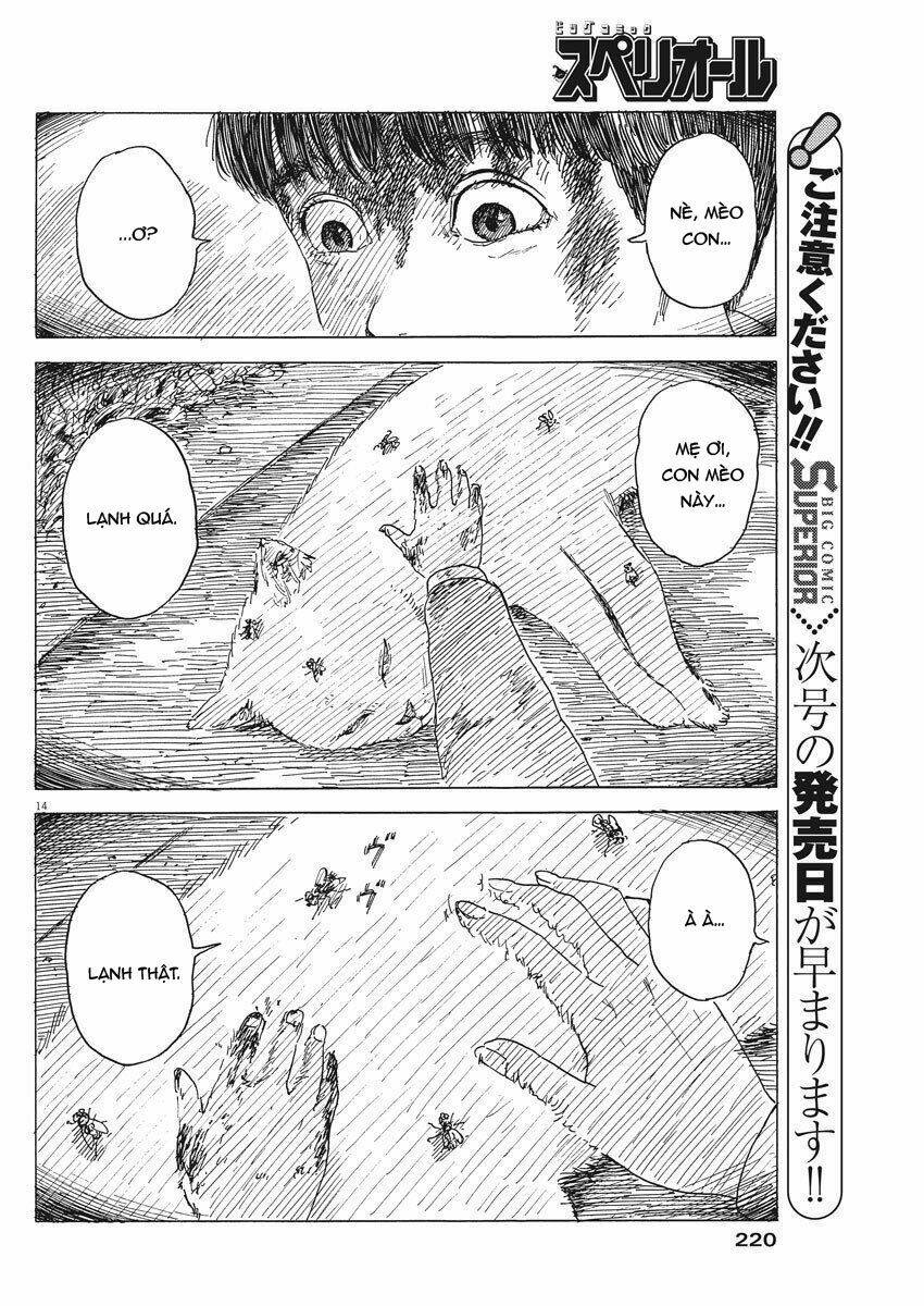 chi no wadachi chapter 78 17