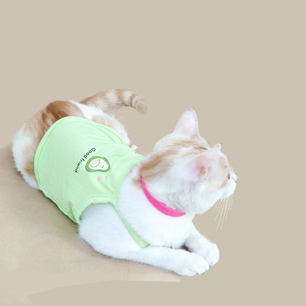 Áo ba lỗ mùa hè cho mèo chó kute chất cotton 3 chiều xịn thời trang hè cho mèo chó-TTC03