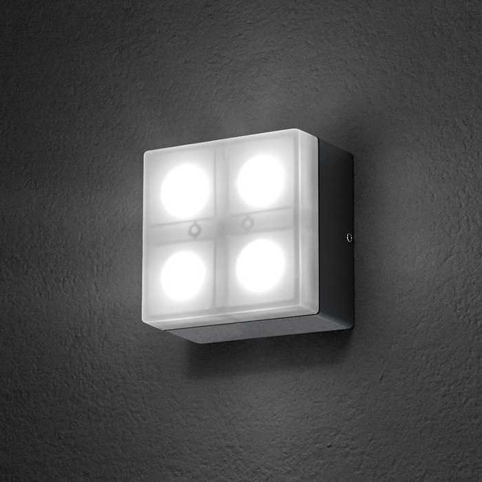 Đèn LED gắn tường/ốp trần ngoại thất DSLUX - 2653