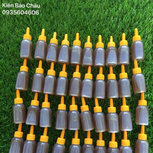 500 lọ không nhãn thuốc diệt kiến gián sinh học