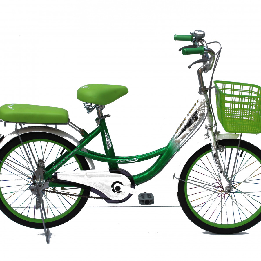 Xe đạp thời trang SMNBike Cl 20-05