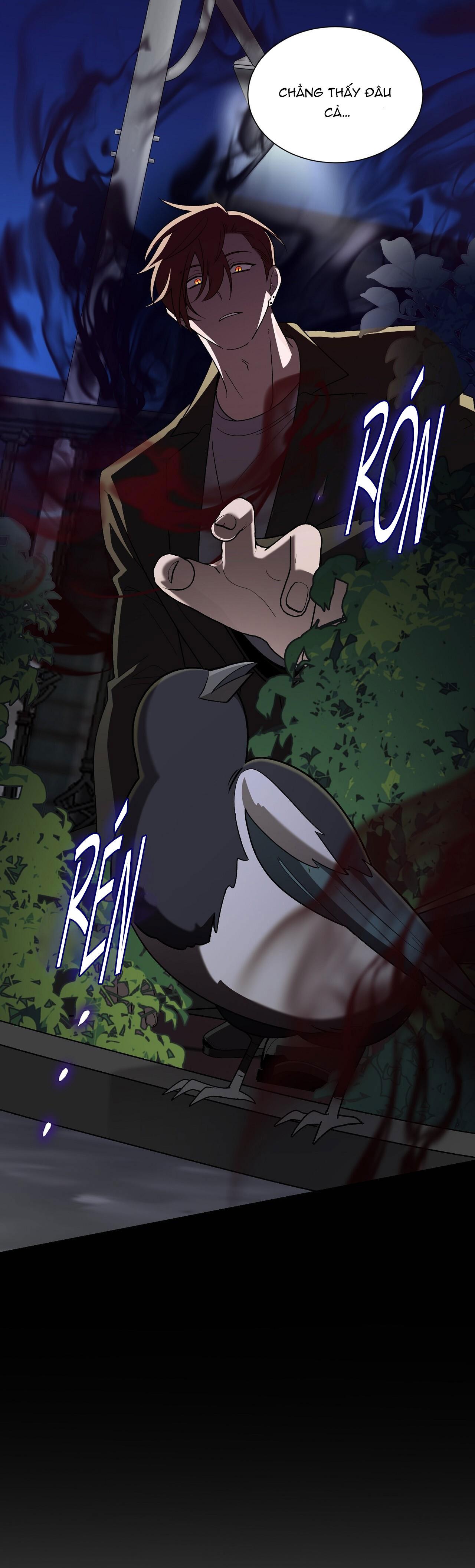 khi chim thước đến chapter 11 38