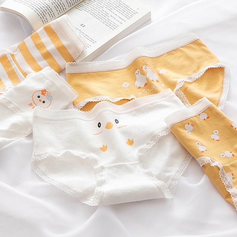 Quần Lót Nữ Cotton Thời Trang Ngỗng Con Viền Ren Ngang Eo . Hàng Loại Đẹp.