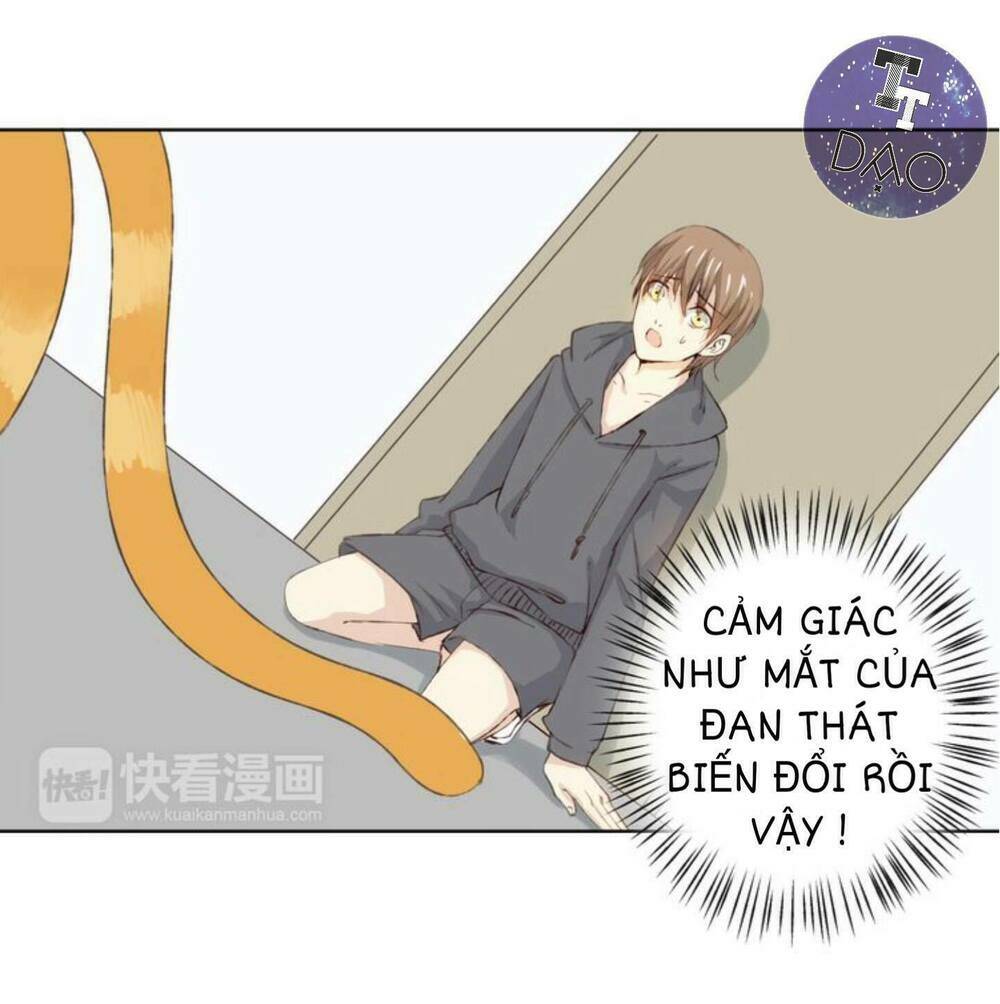 tôi không phải đa nhân cách chapter 11 43