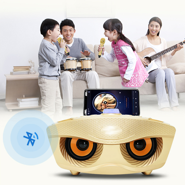 Loa Bluetooth Di Động Không Dây Kèm 2 Micro Hát Karaoke SD-306 Bass Trầm Cực Chuẩn Công Suất 20W