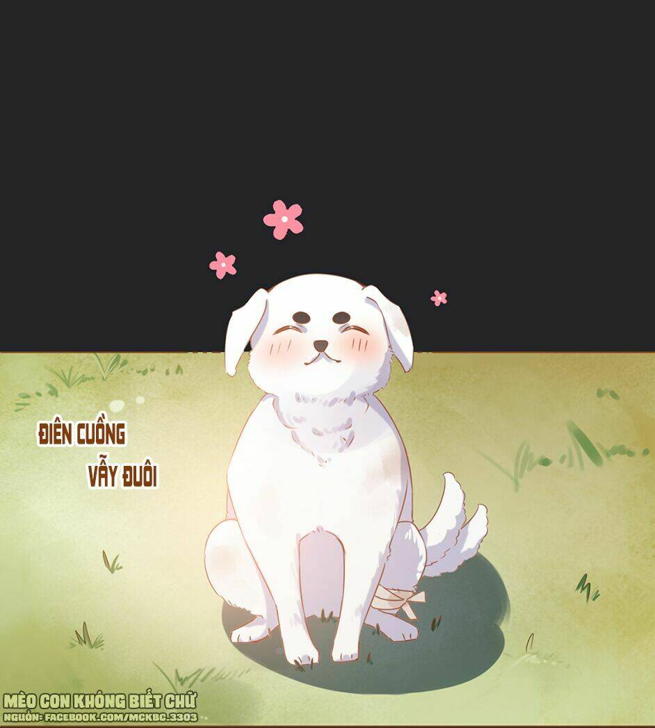 boss khủng bố chiếm đoạt ta chapter 2 24