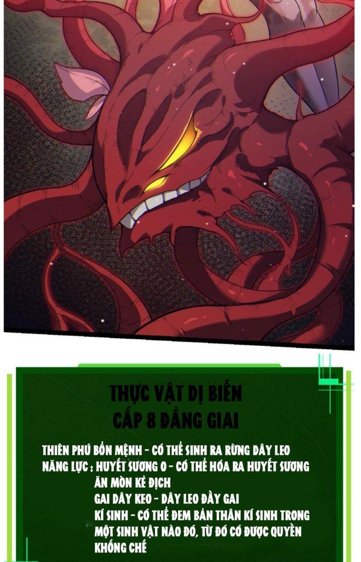 từ cây cổ thụ bắt đầu tiến hóa chapter 45 56