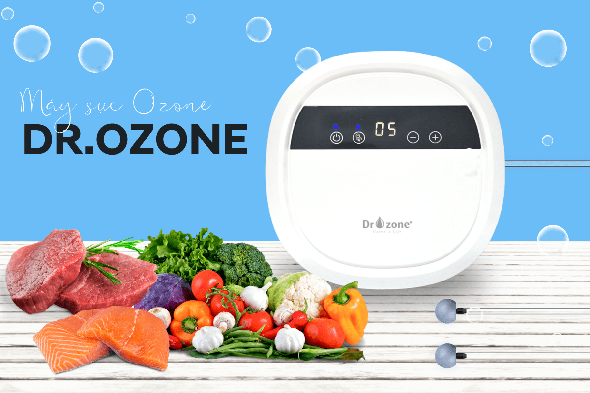 Máy khử độc thực phẩm ozone Dr.Ozone - Hàng chính hãng