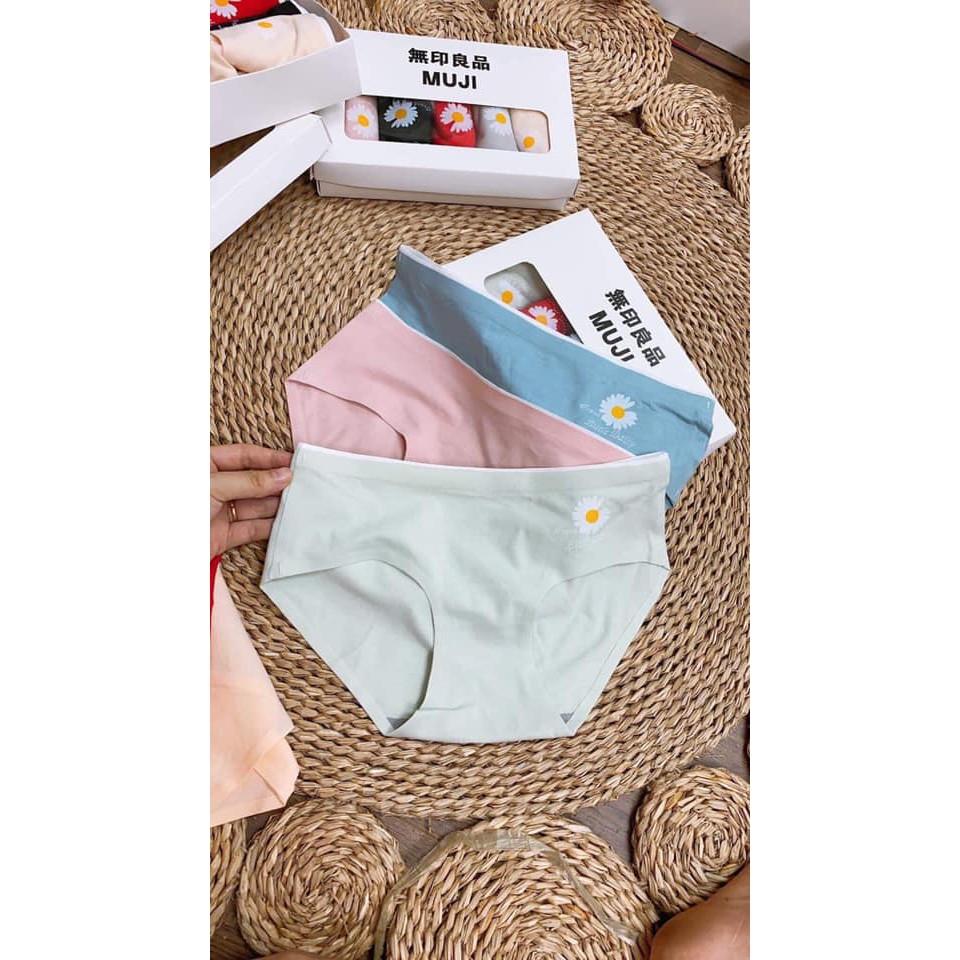 COMBO 5 QUẦN LÓT HOA CÚC NỮ HÀNG ĐẸP MỀM MỊN KHÁNG KHUẨN