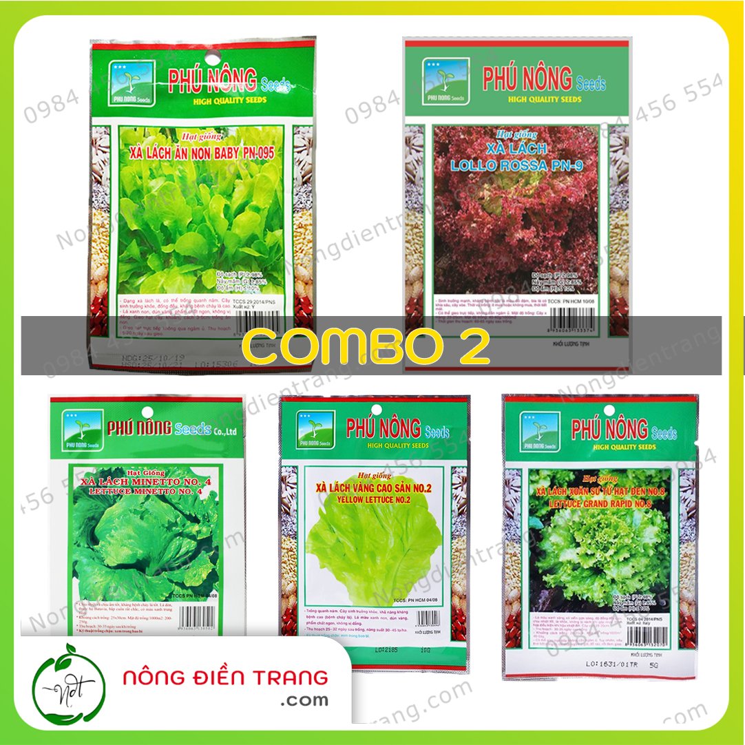 COMBO 5 gói hạt giống rau xà lách các loại - VTNN Nông Điền Trang