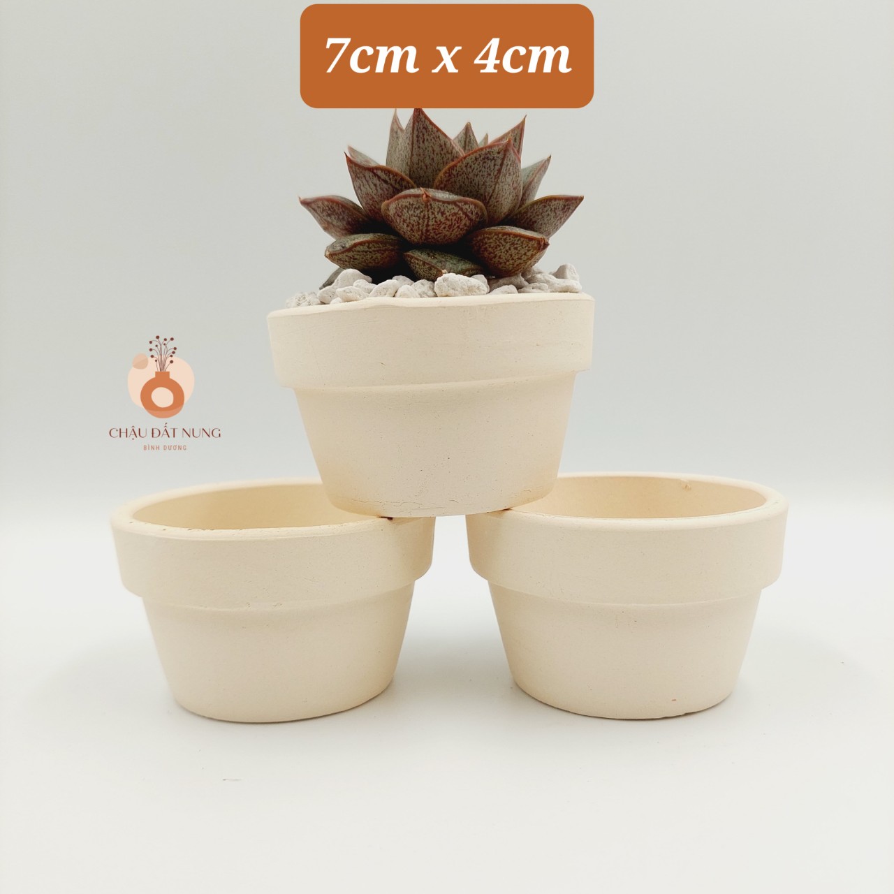 Chậu đất nung, chậu sen đá, xương rồng - Ly gờ 74, miệng chậu 7cm, chiều cao 4cm