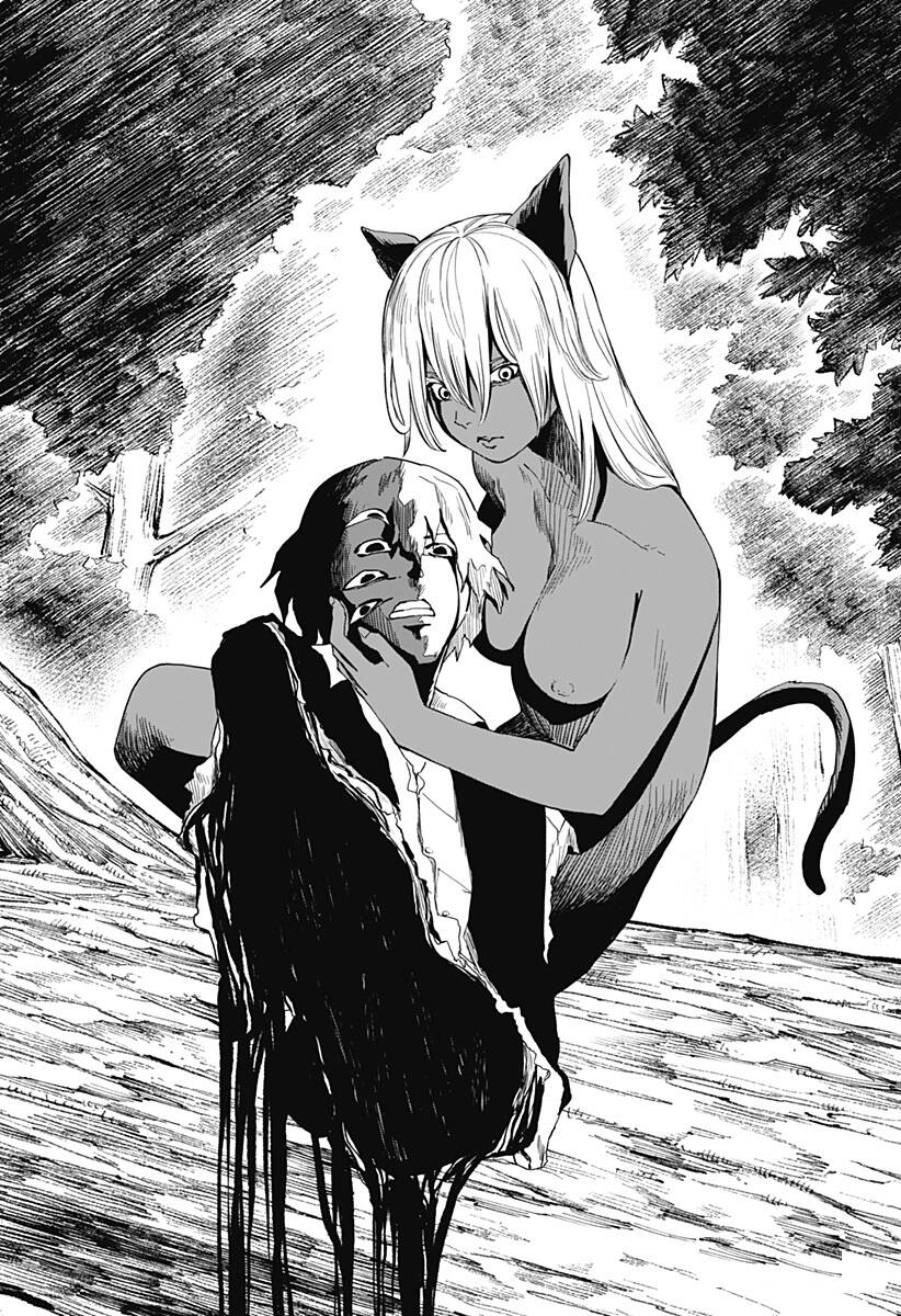 stage s chapter 8 17