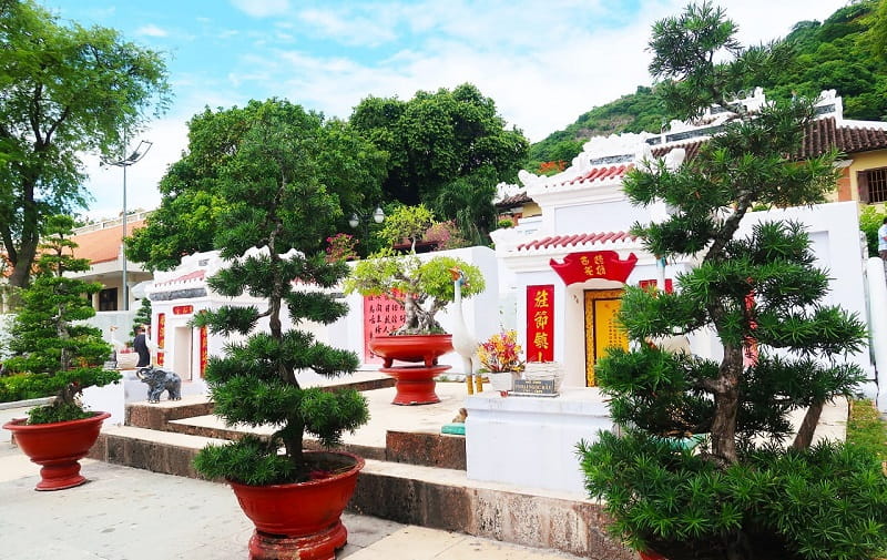Tour rừng tràm Trà Sư 1 ngày – Viếng Miếu Bà Chúa Xứ Châu Đốc