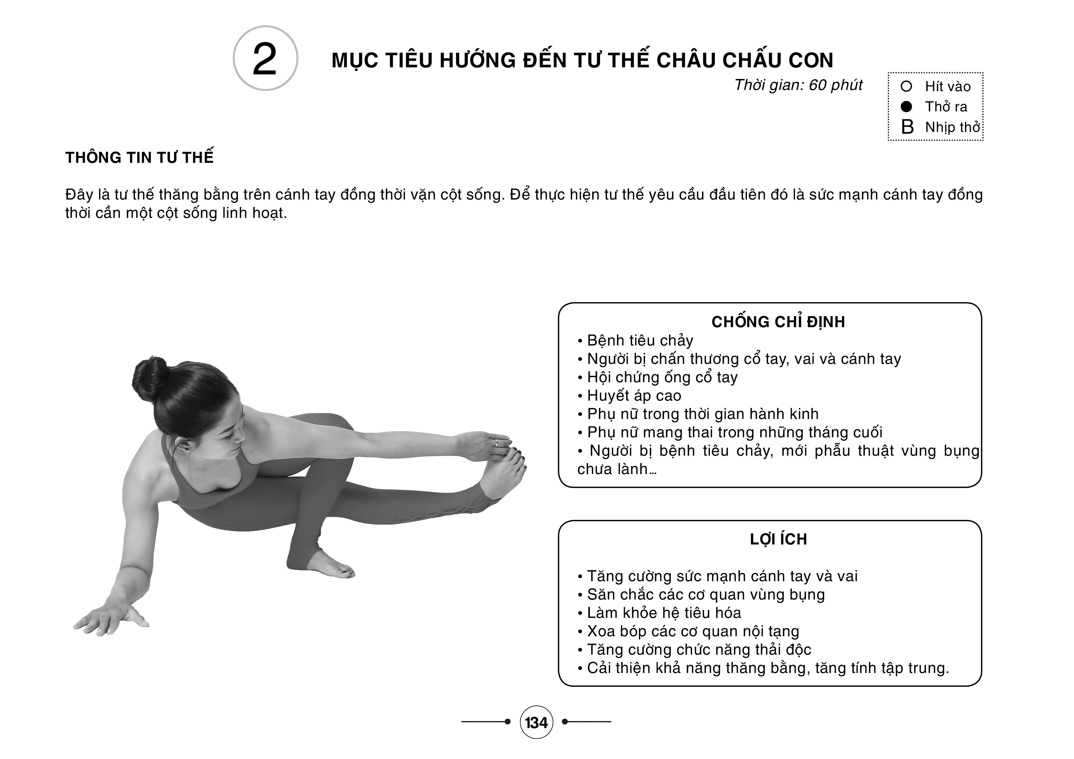 Hệ thống 1500 biến thể tư thế - 100 chuỗi bài yoga liên hoàn