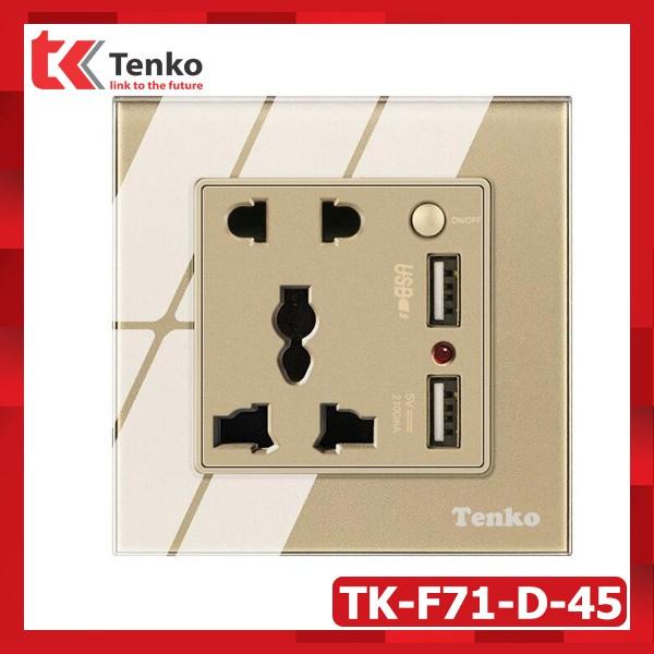 Ổ Cắm Đôi 3 Chấu Tích Hợp cổng USB + Nút Nguồn Điện mặt kính cường lực Tenko TK-F71-D-45 Màu Xám