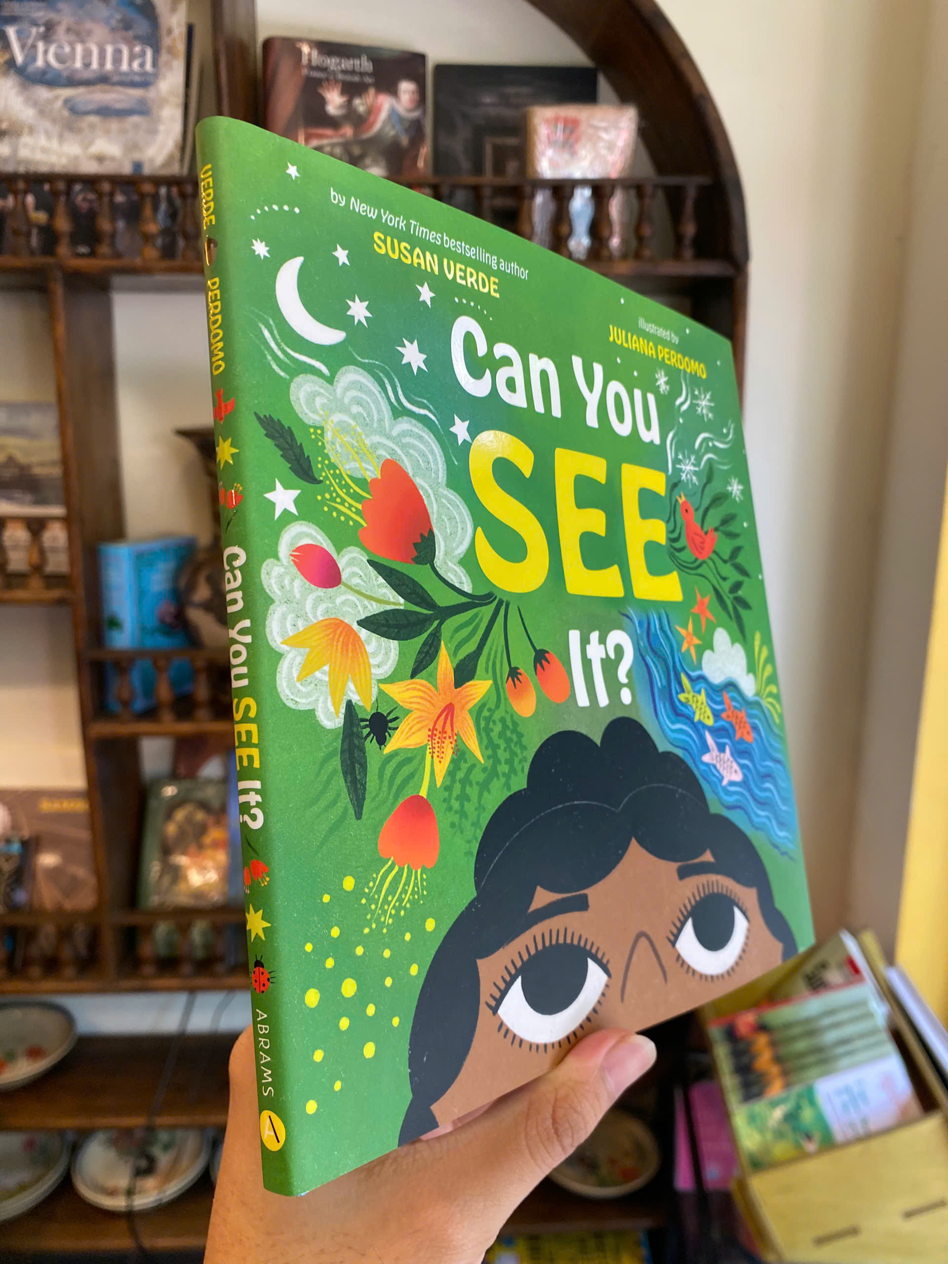Sách - Can You See It? A Picture Book by Susan Verde | Children's Graphic Novel About Mental Health