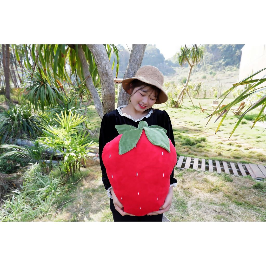 Gối bông dâu tây quả to