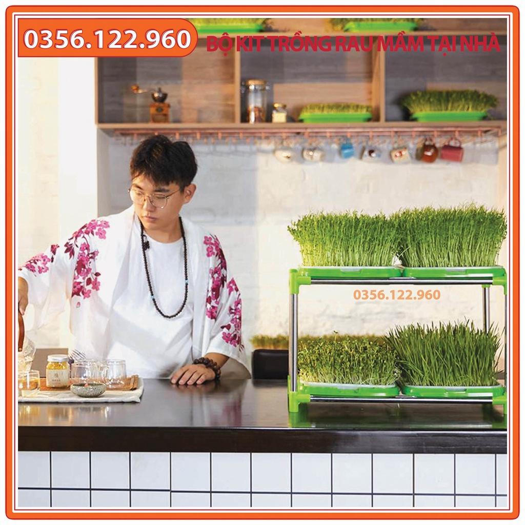Bộ kit Kệ Khay trồng rau mầm 3 khay 3 tầng bao gồm: Giá đỡ có 4 bánh + 3 Khay trồng + 200g Hạt giống + Vòi xịt nước.
