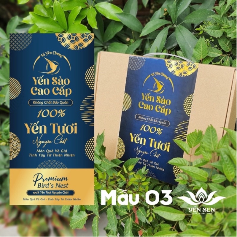 Combo 10 Hộp giấy cao cấp đựng 6 hủ yến chưng