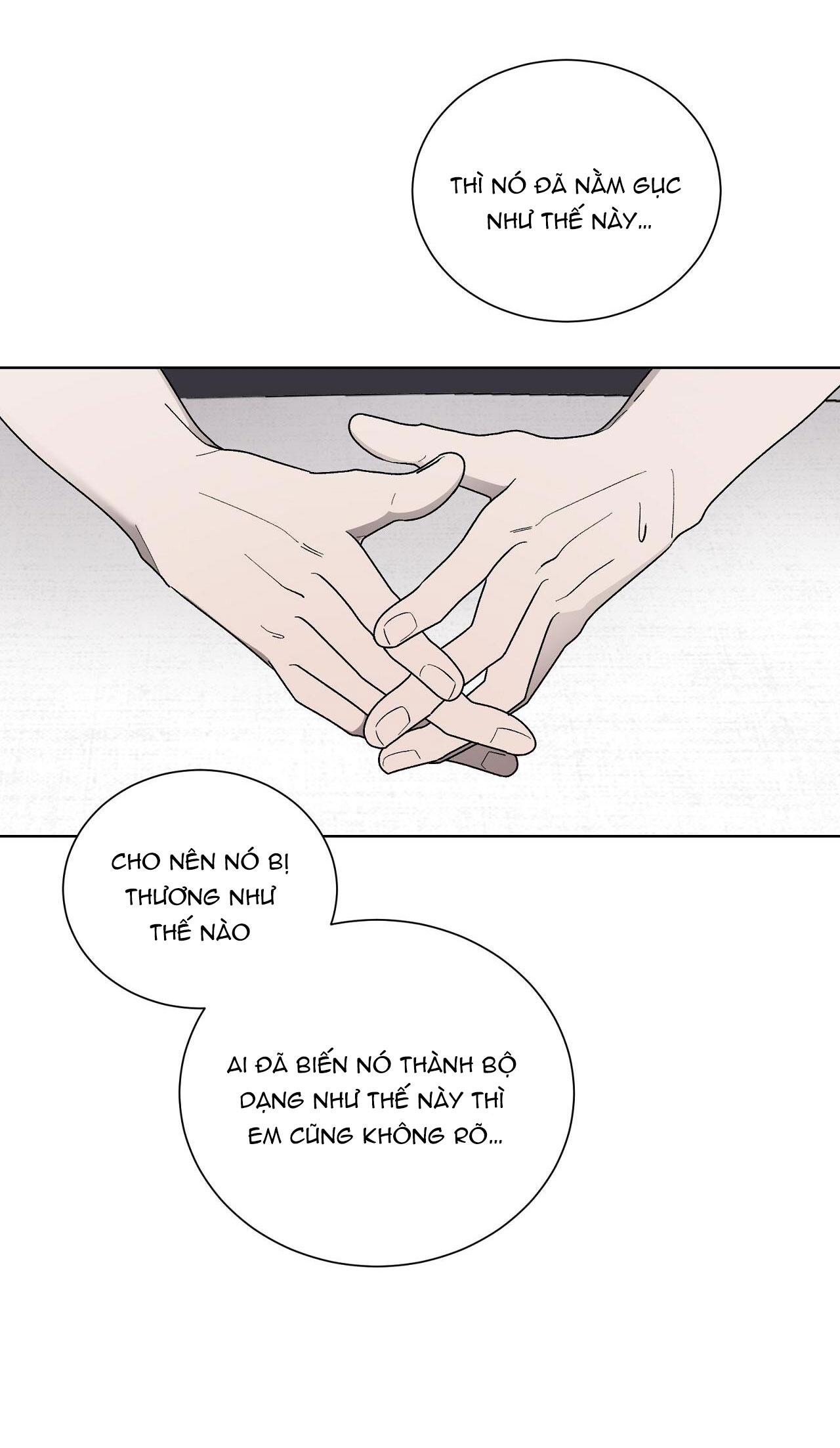 khi chim thước đến chapter 13 20