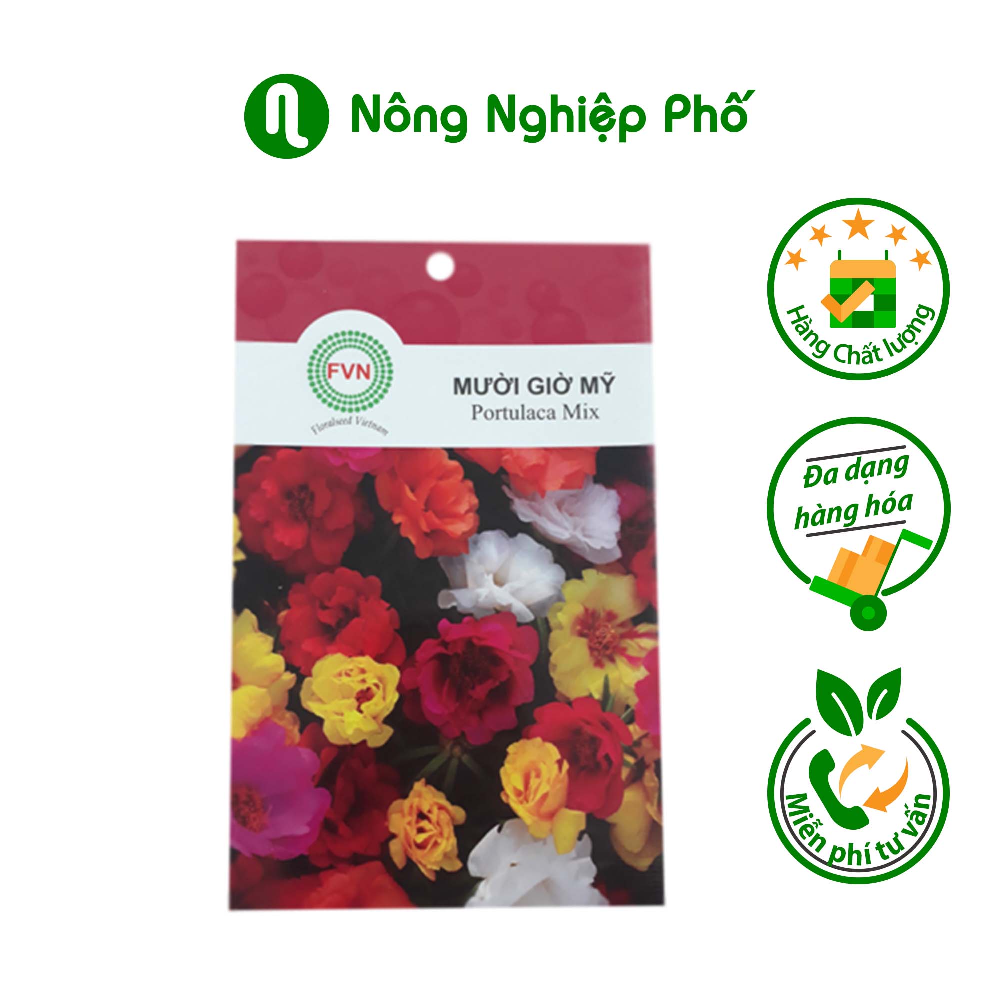 Hạt giống hoa Mười Giờ Mỹ FVN