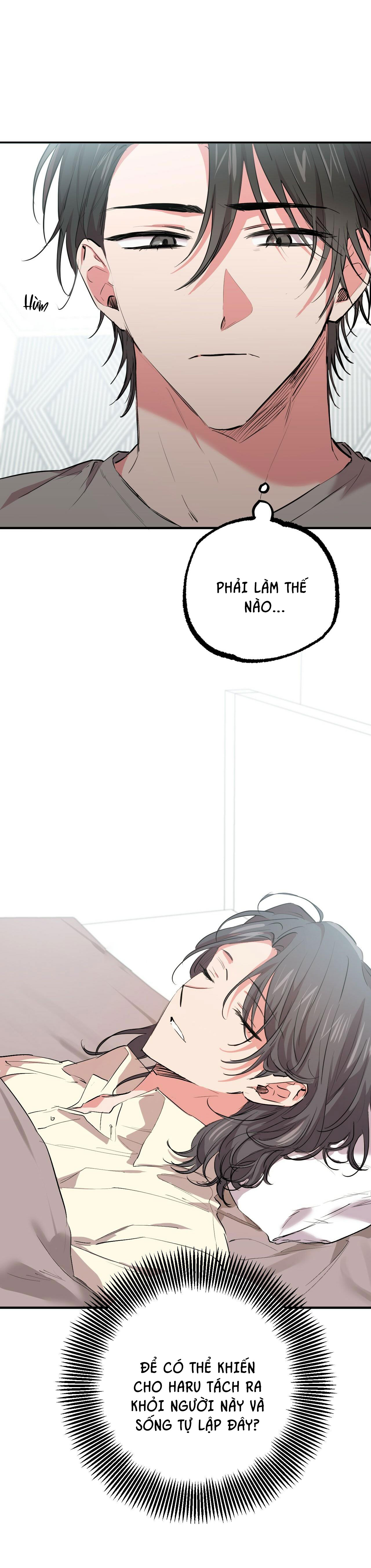 những chú thỏ của hapypy chapter 31 45