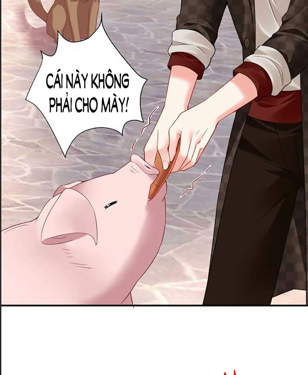 bạn trai 1/4 của tôi chapter 41 22