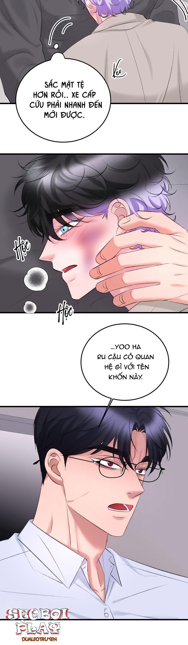 Nuôi dưỡng búp bê chapter 20