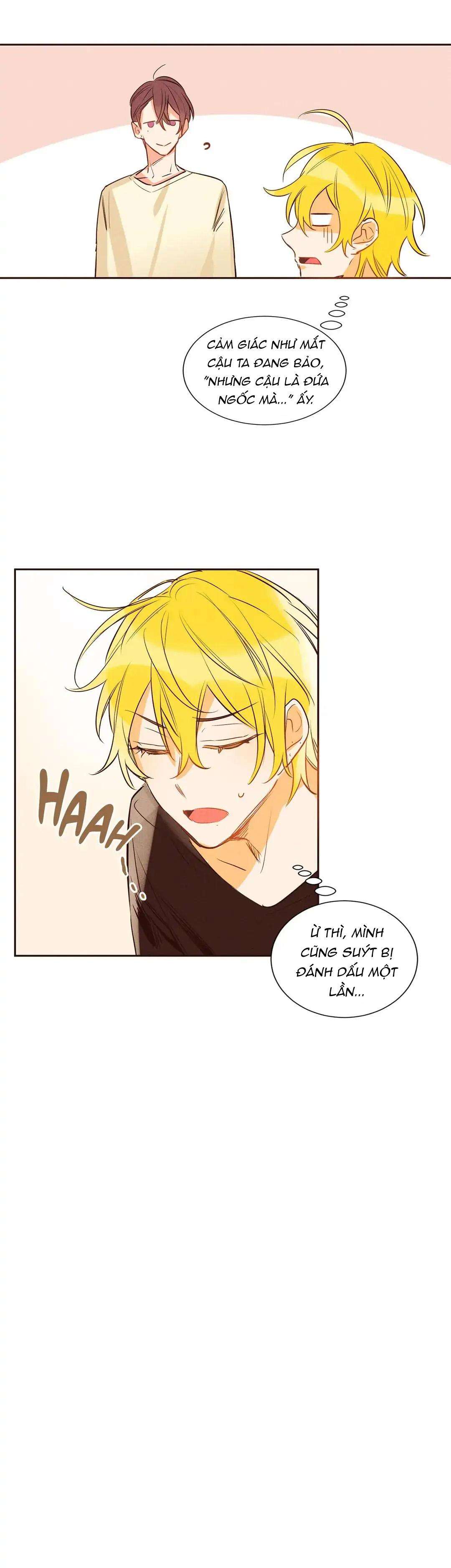 chìm trong pheromone chapter 9 5