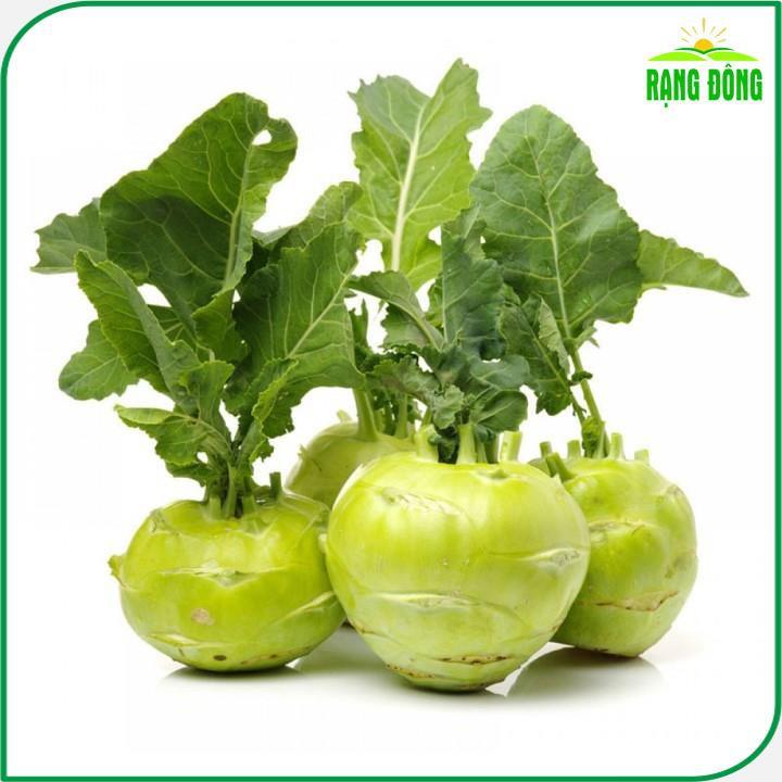 Hạt giống Su Hào Xanh Trồng Quanh Năm, Sinh Trưởng Khỏe - Hạt giống Rạng Đông