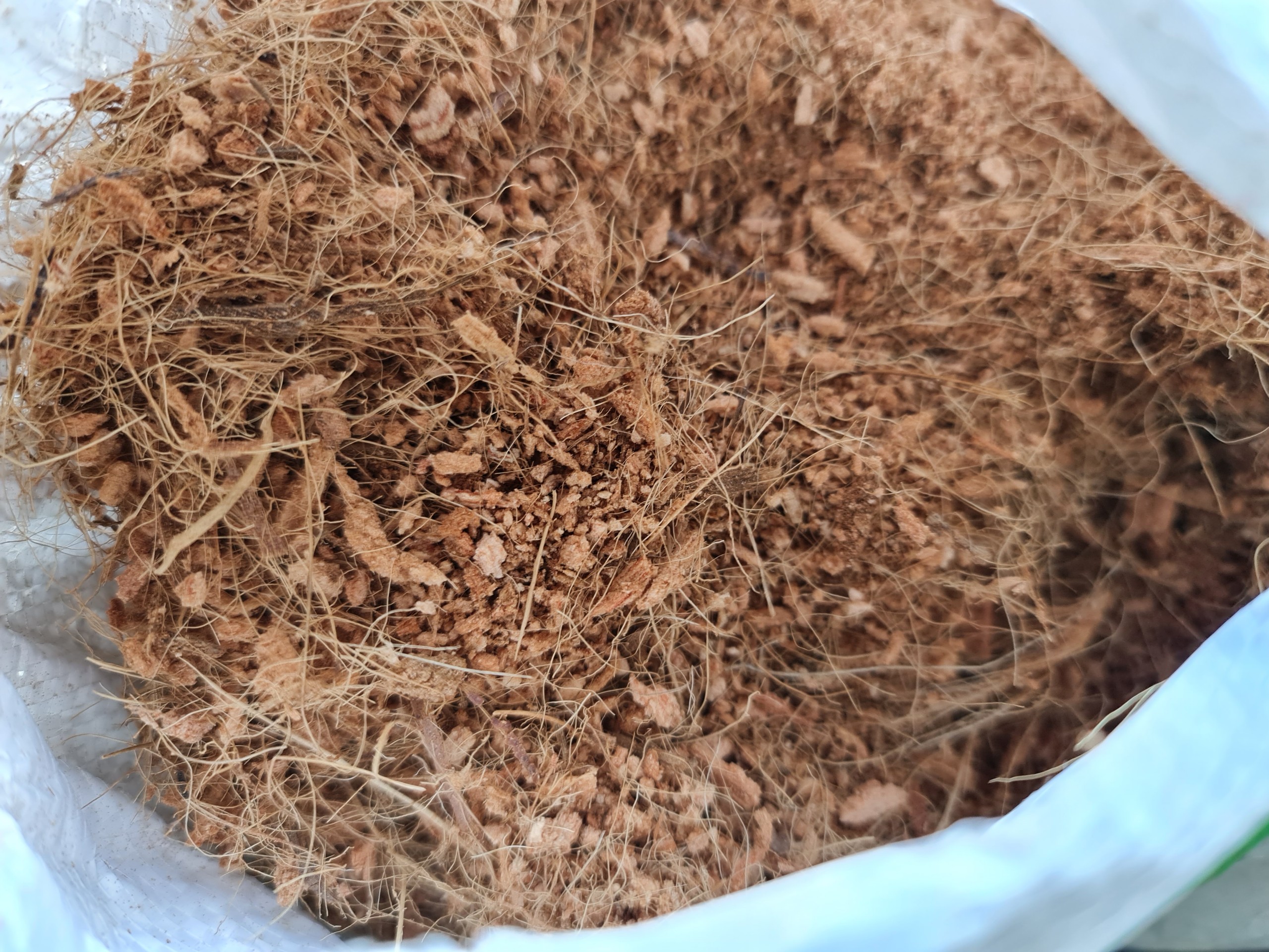 Mụn xơ dừa bao