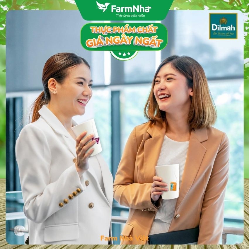 Trà Dilmah Orange & Ginger Vị Cam Gừng túi lọc 30g 20 túi x 1.5g - Tinh hoa trà Sri Lanka
