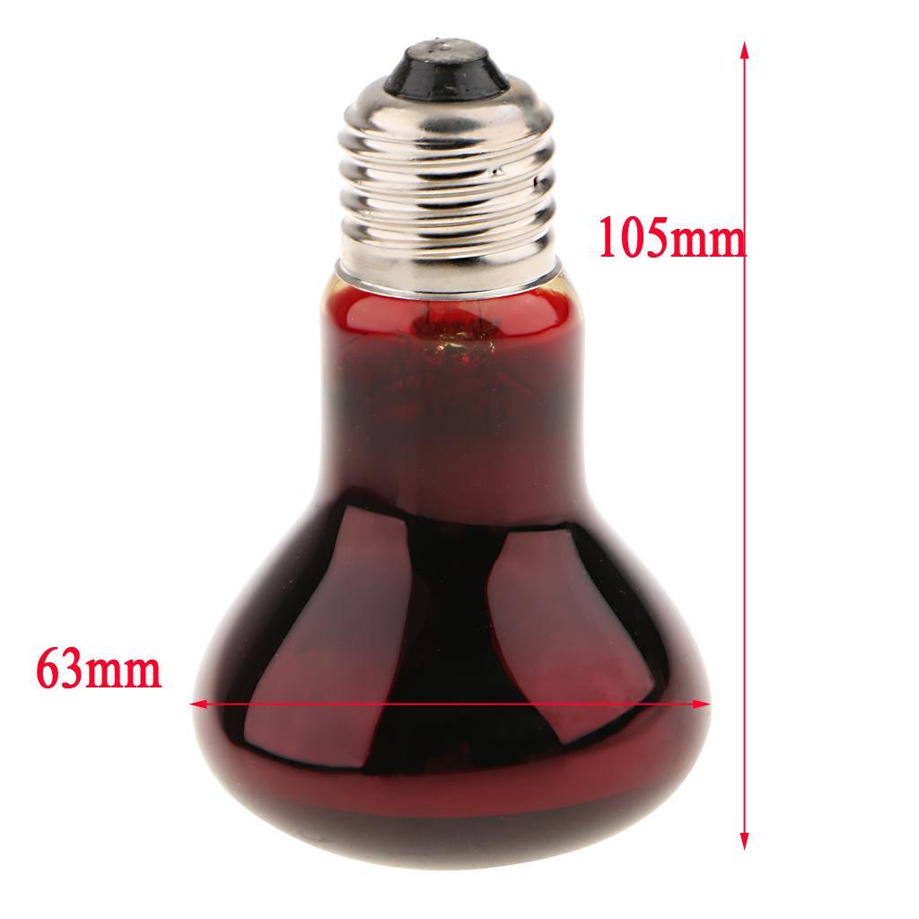 2 Pcs Reptile Tortoise Vivarium Heat Lamp Spot Basking Night Light 100W