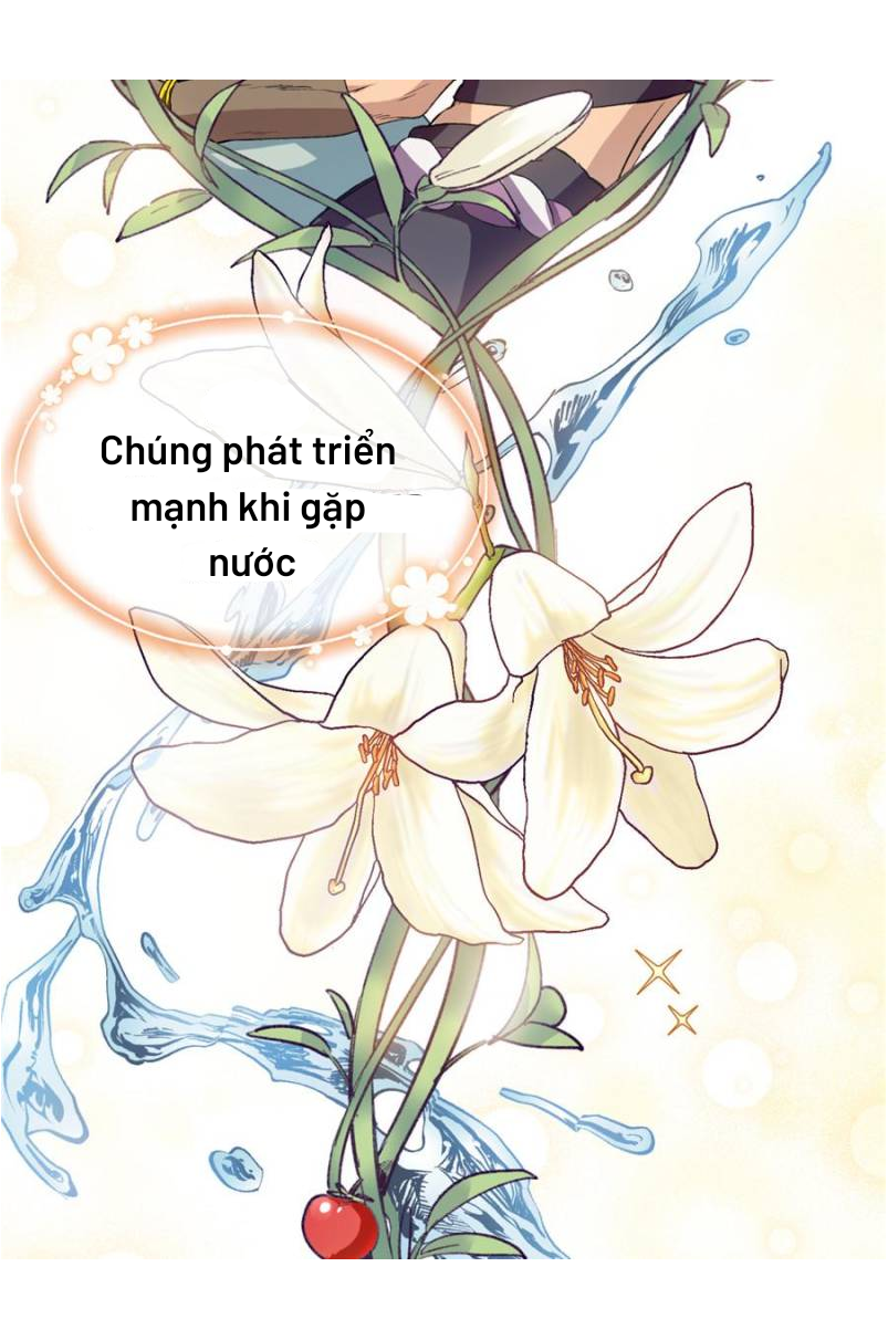 anh đã vượt quá giới hạn rồi, chủ nhân ngu ngốc chapter 4 35