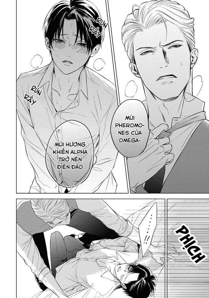 cô dâu của alpha chapter 2 28