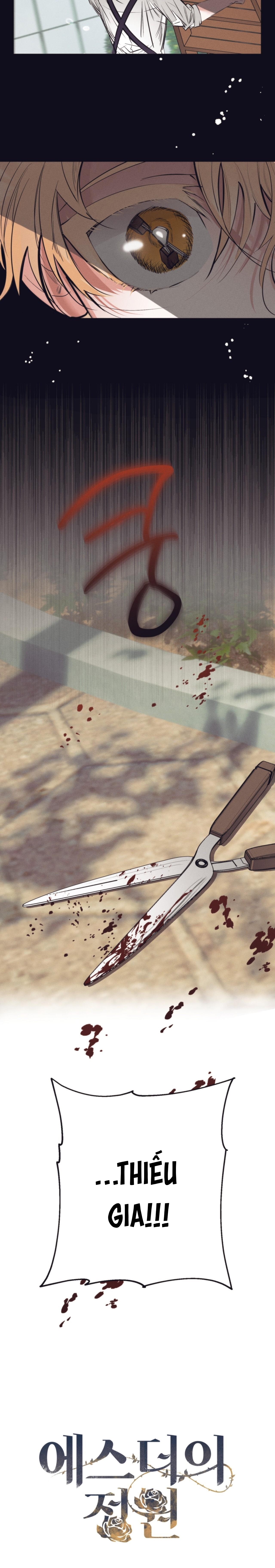 vườn địa đàng của esther chapter 3 3