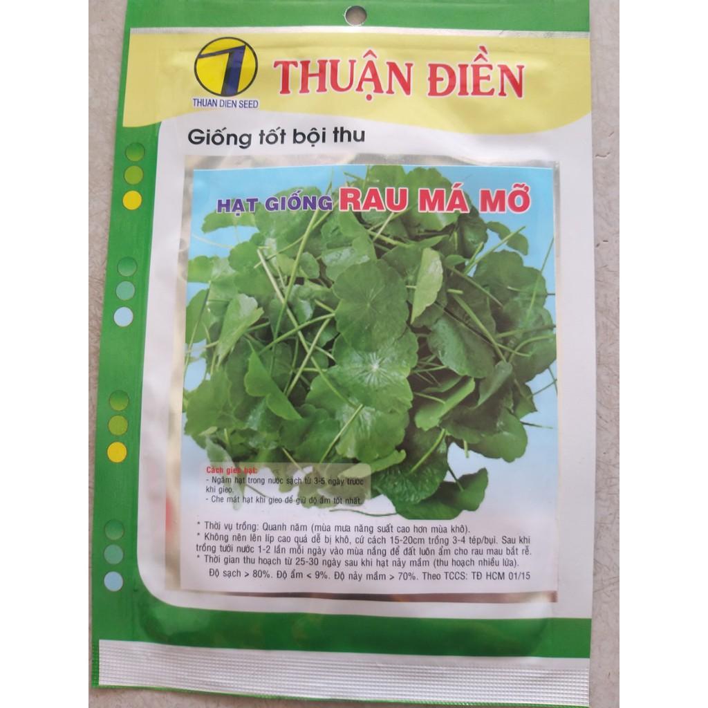 Hạt giống rau má mỡ Thuận Điền