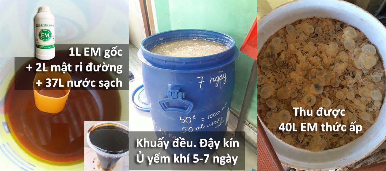 Combo 3 chai Chế phẩm sinh học EM gốc (1lit). Ủ phân cá, rác bã hữu cơ hoai mục không mùi hôi. Làm phân bón giàu dinh dưỡng cho cây trồng. Men vi sinh Đại Học Nông Nghiệp 1. HSD: 2 năm