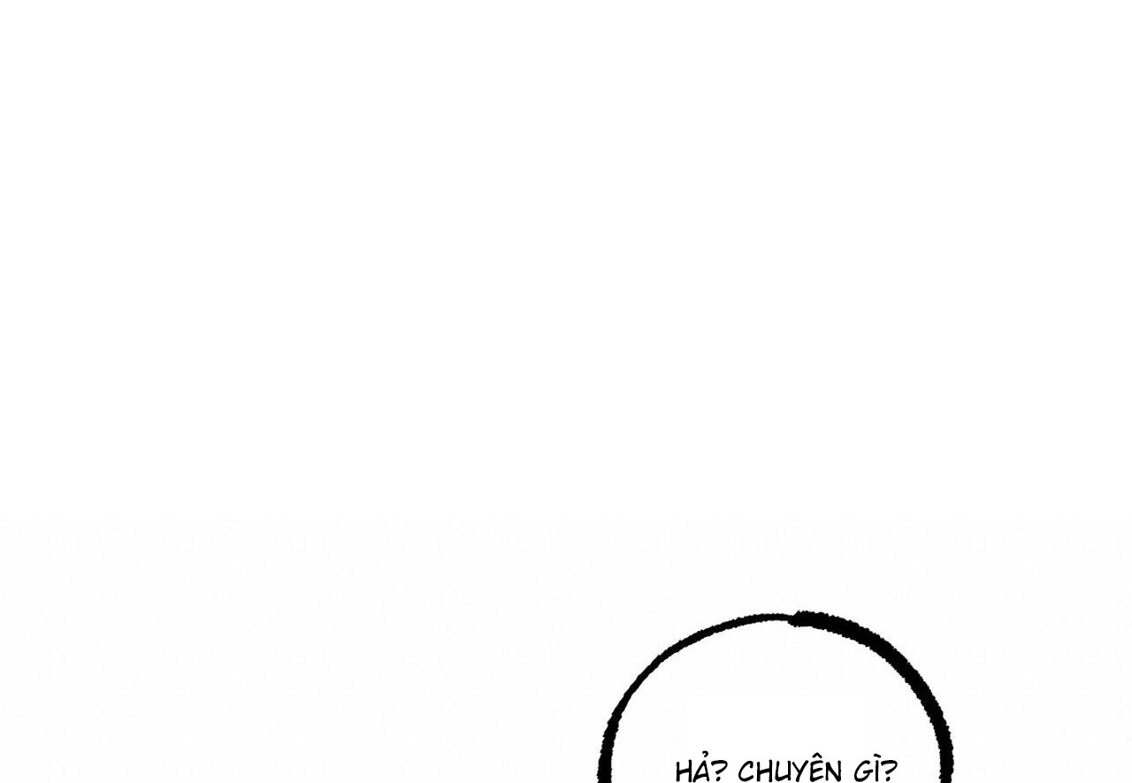 những chú thỏ của hapypy chapter 60 218