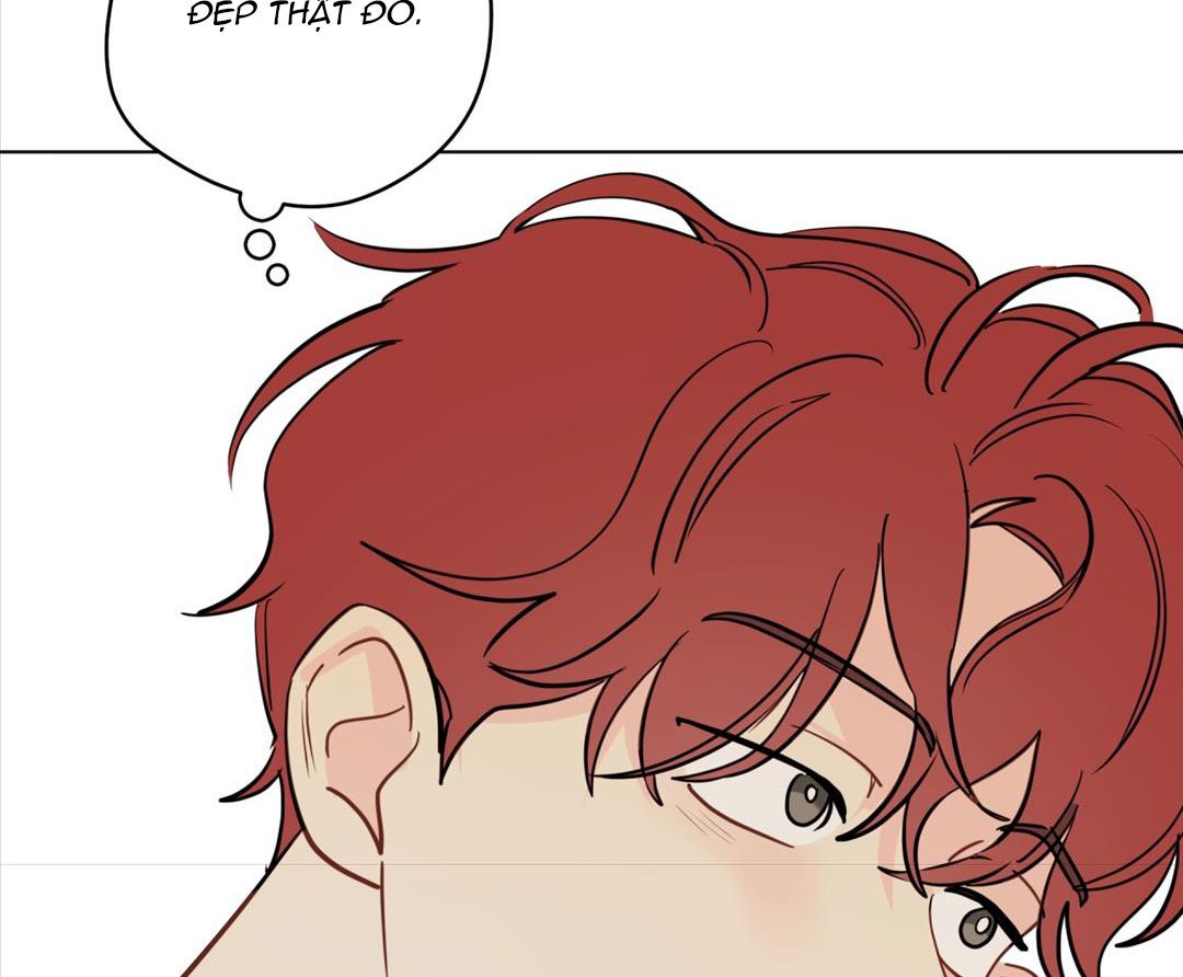 chuyện quái gì với giấc mơ đó vậy chapter 48 14