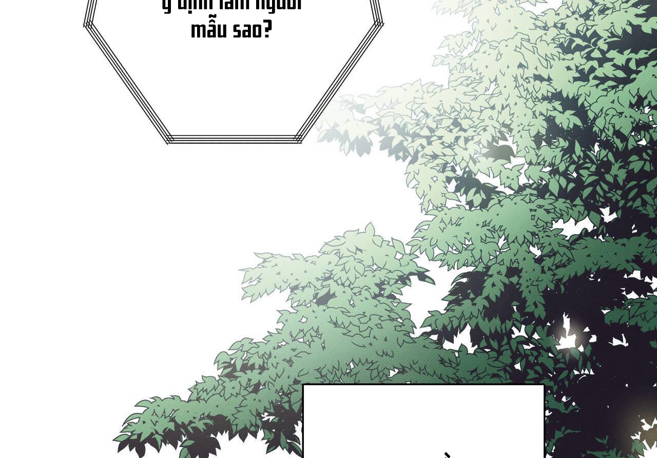 chàng giao pizza và gold palace chapter 40 32